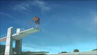 Funny TV Jingle Summer 2013  Giraffe High Diving [upl. by Aisatsan134]