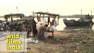 View of Pahleja Ghat  Sonepur Bihar [upl. by Rizan]