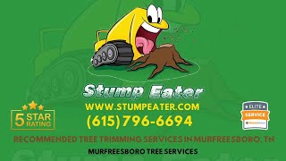 Recommended Tree Trimming Services in Murfreesboro TN [upl. by Ilahtan677]