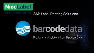 NiceLabels SAP Label Printing Solutions [upl. by Yenalem680]