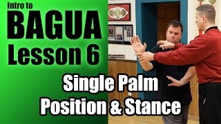 Single Palm Position amp Stance  Intro to Clears Bagua Lesson 6 [upl. by Ekard]