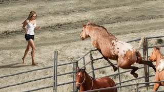 Animals Reunited With Owners After Years [upl. by Sasnett]