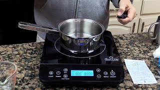 Duxtop Induction Cook Top 10 Month Review [upl. by Vikki]