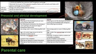 Grade 12 Life Sciences Reproduction in vertebrates [upl. by Seel]