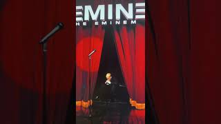 The Eminem Show 2002 Beat  Preview [upl. by Woolson]