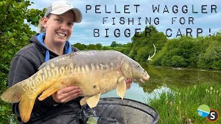 Pellet Waggler Fishing for Big Carp [upl. by Bergren]