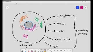 21 Introduction to Cambridge AS amp A Level Biology  Biological Molecules [upl. by Ahsiele409]