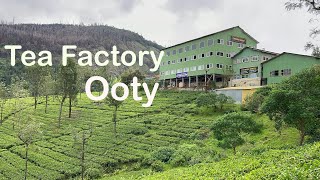 How tea powder is made  The process of making tea in Ooty [upl. by Ahseryt]