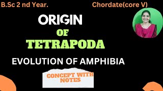 Origin Of Tetrapoda bsc 2nd yearAmphibian ancestrycoelomates tetrapoda [upl. by Adnauqal]