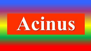 Acinus [upl. by Doralynn]