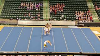 Doddridge County High School A WVSSAC State Cheer Competition 2023 [upl. by Savina]