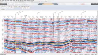 The seismic reflection image [upl. by Miller]