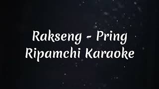 Pring Ripamchi Karaoke Happy New Year [upl. by Nya]