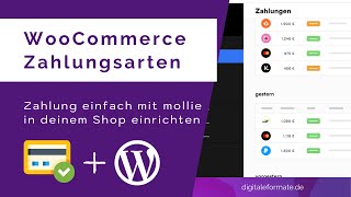 WooCommerce Zahlungsarten einrichten  Mollie Tutorial 💳 [upl. by Millur]