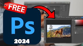 how to download adobe photoshop 2024 [upl. by Nanyk616]