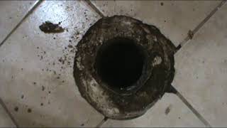 cracked toilet flange repair concrete slab Part 1 [upl. by Tyne]