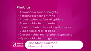 The Most Common Phobias [upl. by Anirdnajela93]