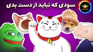 بهترین میم کوین ها برای سرمایه گذاری سودی که نباید از دست بدی [upl. by Ahseenat331]