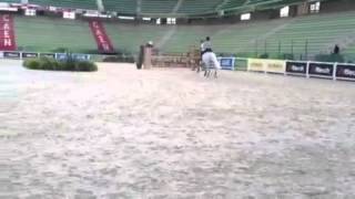 WEG  Athina Onassis De Miranda AD Camille Z training [upl. by Rebeca]