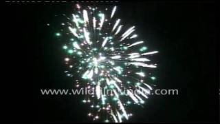 Crackers being burst on Diwali [upl. by Treblih]