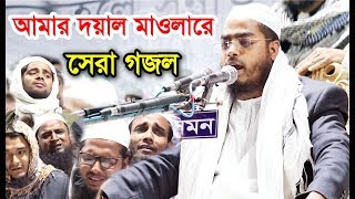 আমার দয়াল মাওলারে হাফিজুর রহমান সিদ্দিকীর সেরা গজল। Hafizur Rahman Siddiki New Gojol 2019 [upl. by Rinaldo697]