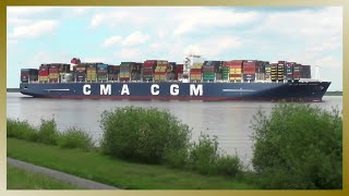 Containerschiff quotCMA CGM Amerigo Vespucciquot auf der Elbe [upl. by Armillas]