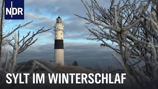 Sylt im Winter  Auszeit vom Saisontrubel  Nordseereport  NDR Doku [upl. by Perron]