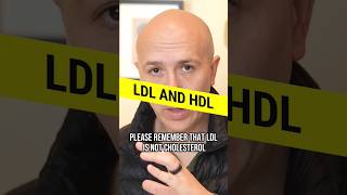 This Is HDL And LDL  Difference Between LDL AND HDL [upl. by Appilihp]