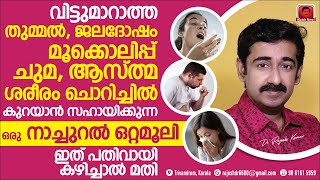 തുമ്മൽ ജലദോഷം മൂക്കൊലിപ്പ് ചുമ ശരീരം ചൊറിച്ചിൽ കുറയാൻ ഈ നാച്ചുറൽ ഒറ്റമൂലി പതിവായി കഴിച്ചാൽ മതി [upl. by Wenonah]