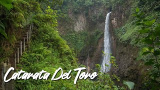 Catarata Del Toro Waterfall in Costa Rica  Alajuela Province [upl. by Legnaesoj369]