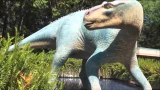 Dinoland USA Walkthrough POV Disneys Animal Kingdom [upl. by Eemla]