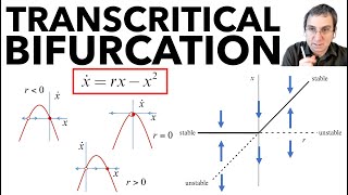 Bifurcations Part 2 Transcritical Bifurcation Laser Model Example [upl. by Aelgna]