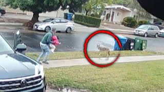 Dad Saves His Daughter From Coyote Attack [upl. by Herwig779]