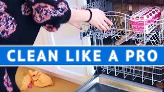 CLEAN LIKE A PRO Cleaning the Dishwasher [upl. by Tenahs]