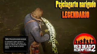 Pejelagarto narigudo legendario  Guia pesca RED DEAD REDEMPTION 2 [upl. by Lebiram]