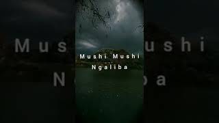 Mushi mushi ngalibaSamji MarumKenii×Rohit manipuri songaudio [upl. by Neelyar670]