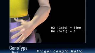 The GenoType Diet Measuring Finger Length Ratios [upl. by Starinsky]