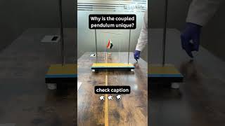 Heres why Coupled Pendulum is Unique 👇Check Description [upl. by Atilam566]