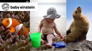 Neptunes Oceans  Baby Einstein Classics  Learning Show for Toddlers  Kids Cartoons [upl. by Gertrud288]