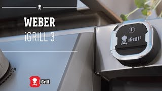 Learn all about the Weber iGrill 3 appconnected thermometer [upl. by Ayotnahs35]