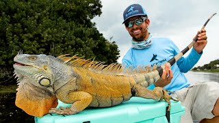 Caught a HUGE IGUANA while Canal Fishing [upl. by Nraa]