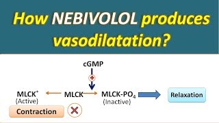 BP ని తగ్గించే amlodipine medicine ఎలా వాడాలి   Amlodipine tablet side effects  Dr GPV Subbaiah [upl. by Sully]