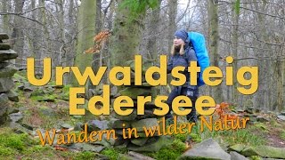 Urwaldsteig Edersee  Wandern in wilder Natur HD Teil 2 von 3 [upl. by Irehc]