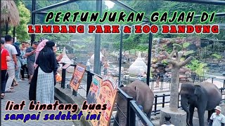 EKSPLOR WISATA LEMBANG PARK AND ZOO BANDUNG [upl. by Nitin872]