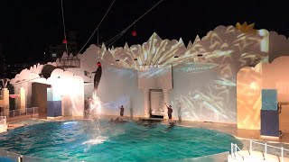 ⁴ᴷ⁶⁰【神戸須磨海浜水族園2020】816日夏期限定「イルカ ナイト ライブ」 [upl. by Sset]