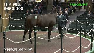 Finesse sells for 900000 at 2024 Keeneland November [upl. by Arnie]