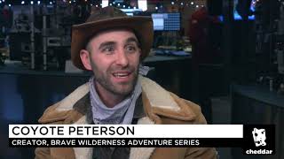 Coyote Peterson of Brave Wilderness on Getting Stung and Launching New Shows [upl. by Arehs]