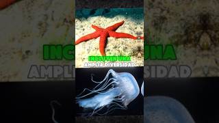 Los invertebrados biologia biology [upl. by Aidyn]