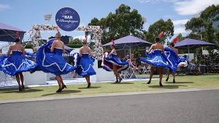 CanCan Dancers Melbourne  Showreel [upl. by Llenart]