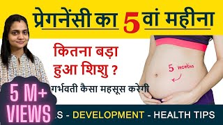 Pregnancy ka 5 va Mahina  प्रेगनेंसी का पांचवा महीना  Pregnancy 5th Month Exercises amp Diet Tips [upl. by Drarehs]